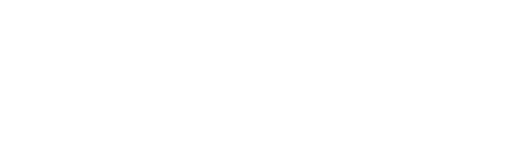 logo-new308